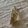 Silver Feather I
