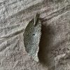 Silver Feather II